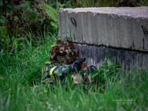 airsoft pilt