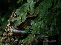airsoft pilt