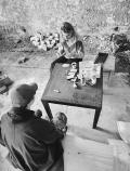 airsoft pilt