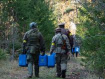 airsoft pilt
