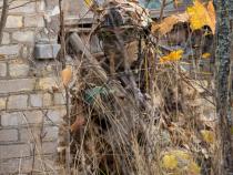 airsoft pilt